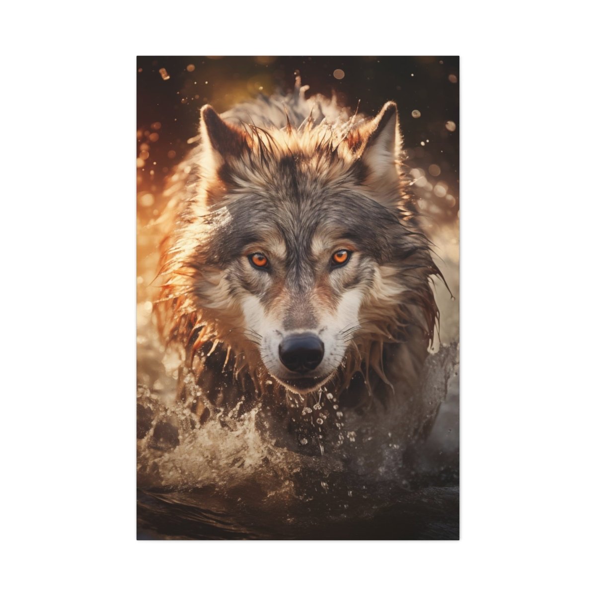 A wolf runs through the river at sunset Canvas Poster - Elegant Deer